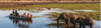 Wildlife viewing in Chobe River -  Photo: Peter Walton