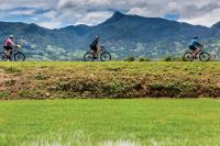 Enjoying the ride on the 'Vietnam by Bike' trip -  Photo: Richard I'Anson