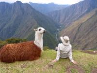 Making new friends on the Inca Trail -  Photo: Bette Andrews