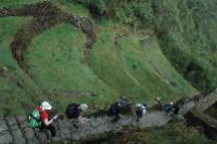 Trekkers on the Inca Trail, Peru -  Photo: Sarah Higgins