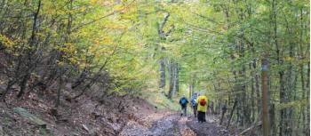 Breathtaking colours as we hike the Camino Trail | Scott Kirchner